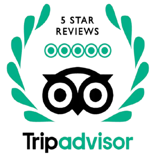 TripAdvisor