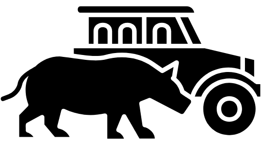 Activities Icon