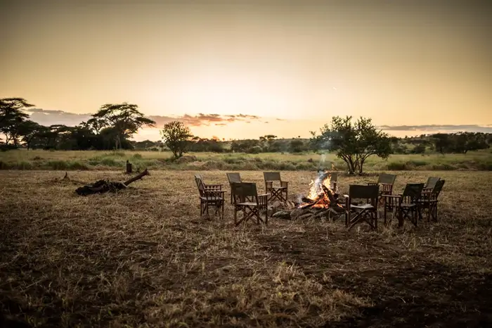 Budget Safaris