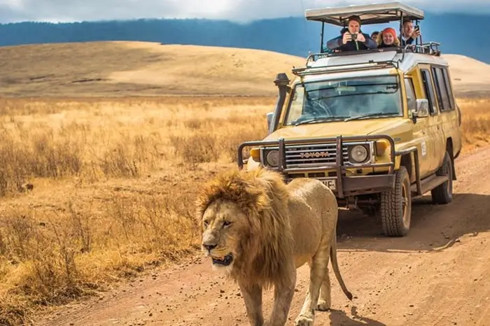 Explore More Safaris
