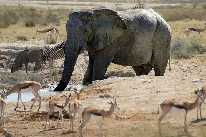 Explore Tarangire National Park