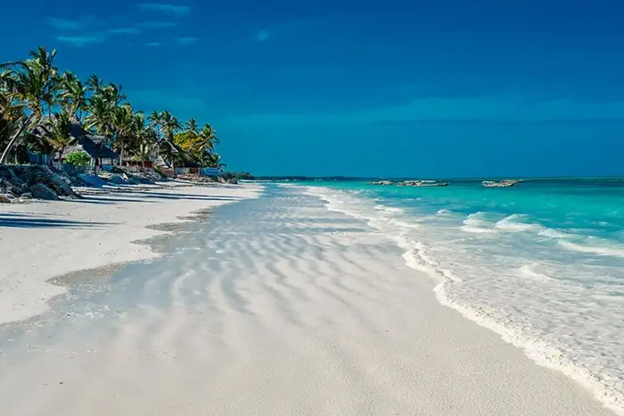 Explore Zanzibar Island