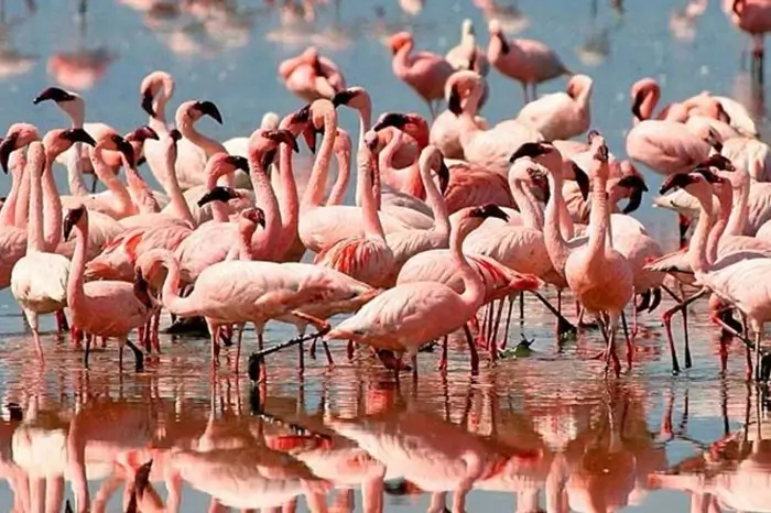 Lake Manyara National Park