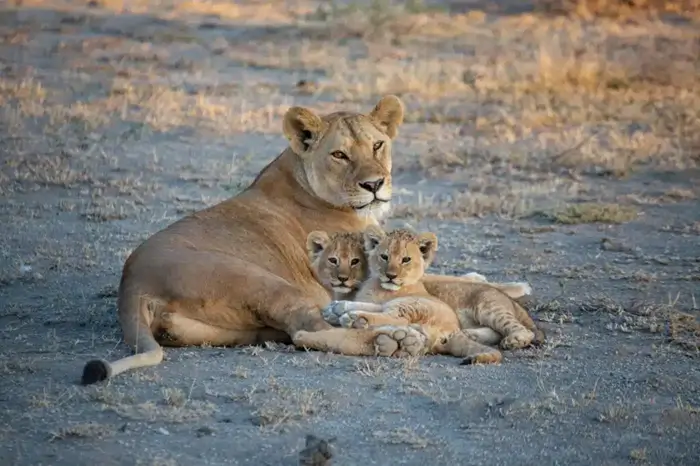 Serengeti National Park