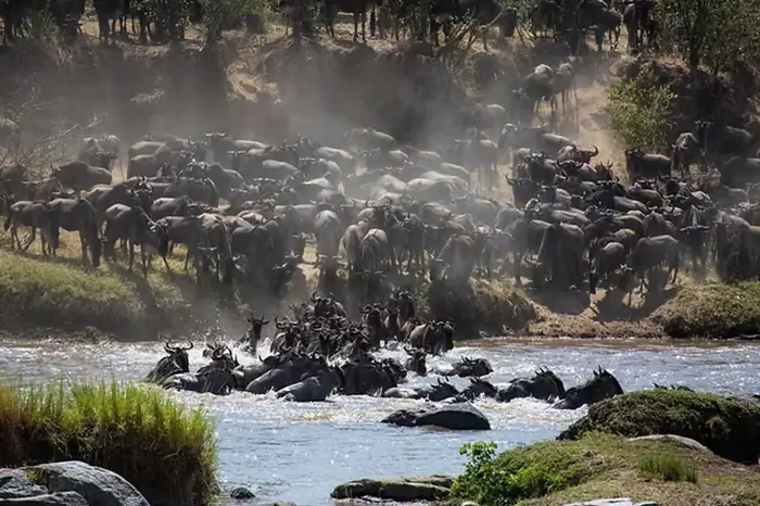 Serengeti National Park