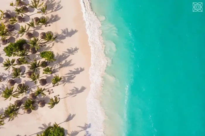 Zuri-Zanzibar-4.webp